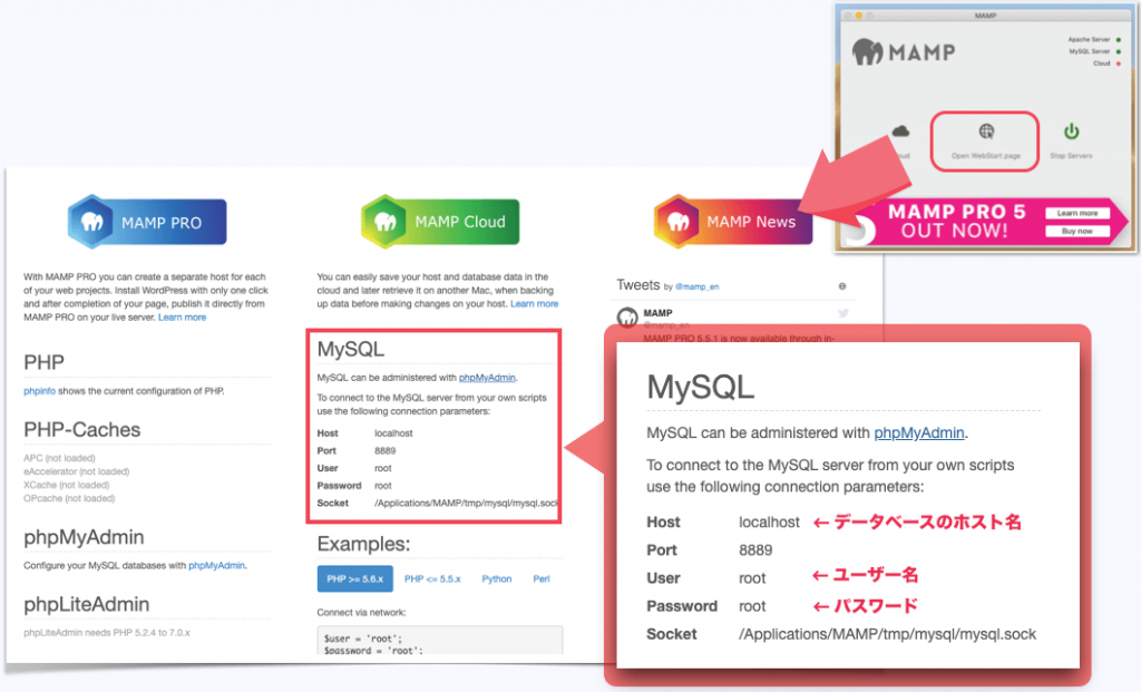 MAMPのMySQLの確認